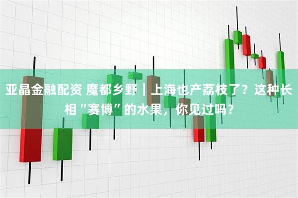 亚晶金融配资 魔都乡野｜上海也产荔枝了？这种长相“赛博”的水果，你见过吗？